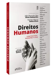 DIREITOS HUMANOS - CONTEXTOS E PERSPECTIVAS - 1ª ED - 2022