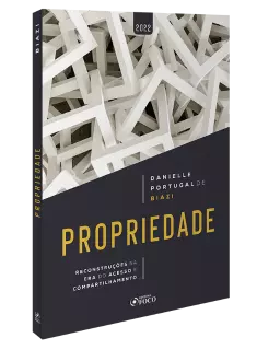 PROPRIEDADE - RECONSTRUÇÕES NA ERA DO ACESSO E  COMPARTILHAMENTO - 1ª ED - 2022